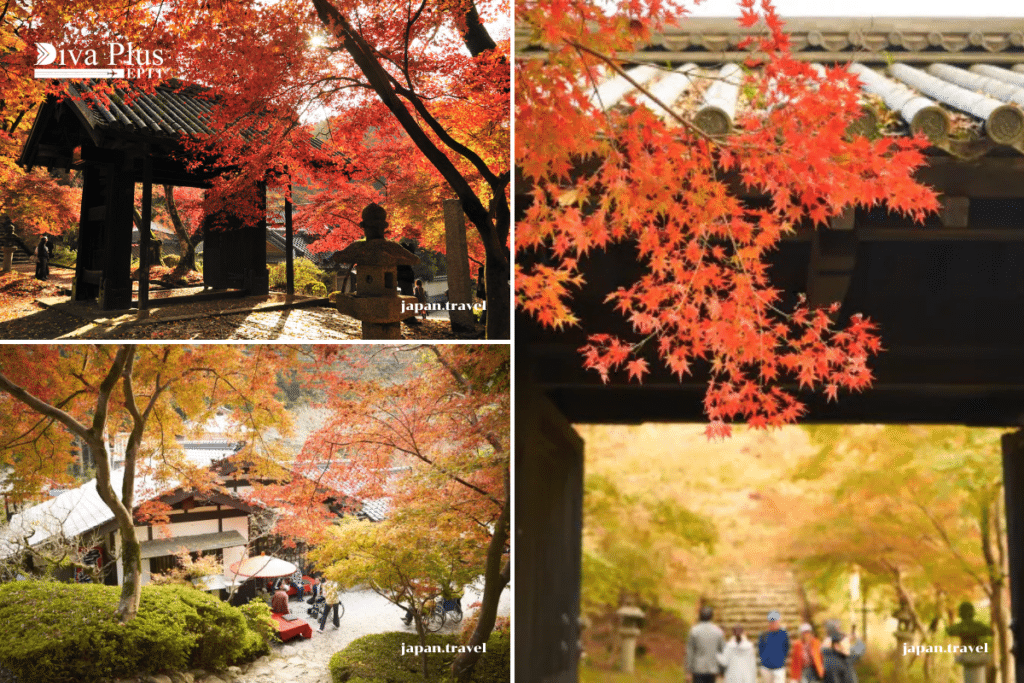 ซากปราสาทอากิซึกิ (Akizuki Castle Ruins)