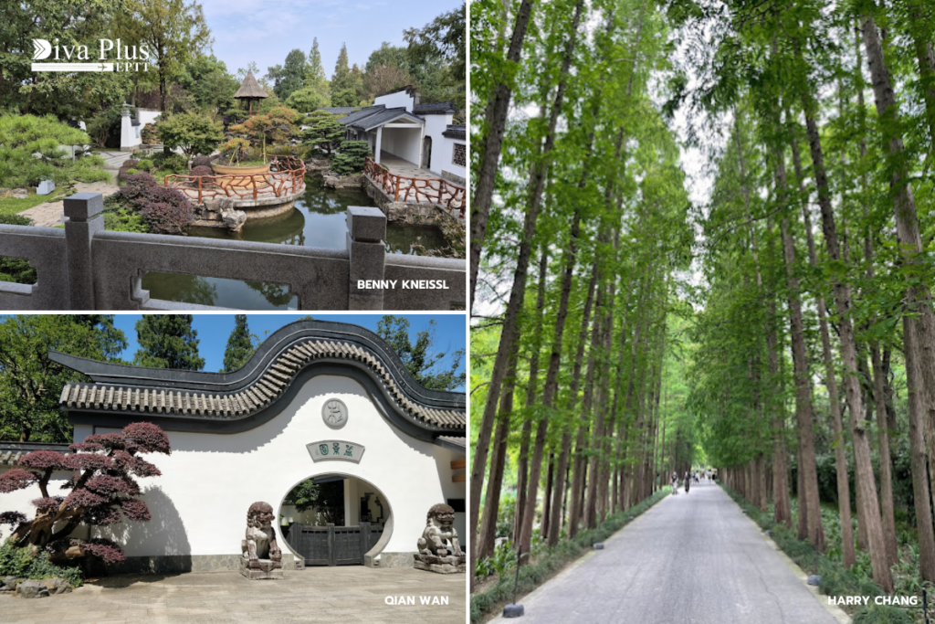 สวนพฤกษศาสตร์เซี่ยงไฮ้ (Shanghai Botanical Garden)