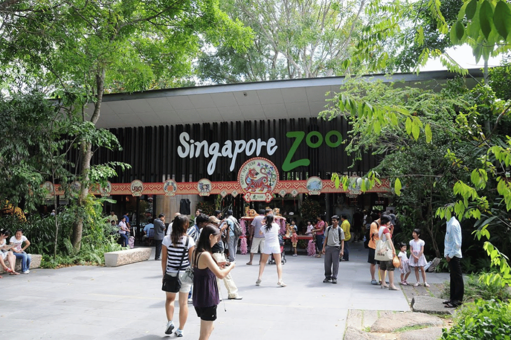 สวนสัตว์สิงคโปร์