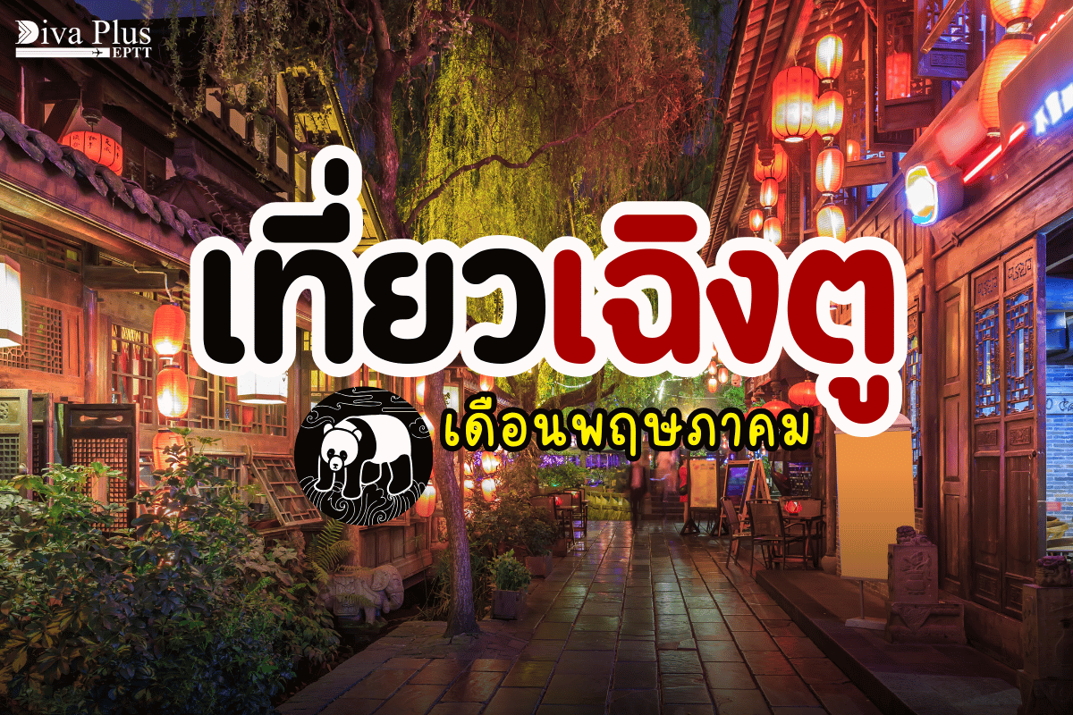 เที่ยวเฉิงตู เดือนพฤษภาคม ดูหมีแพนด้า ชิมชาเสฉวนเดินถนนโบราณจินหลี่