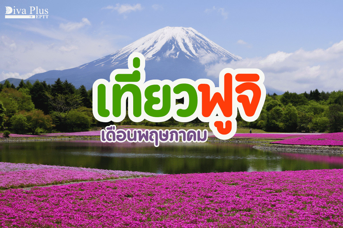 เที่ยวฟูจิ เดือนพฤษภาคม