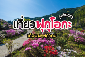 เที่ยวฟุกุโอกะ เดือนพฤษภาคม