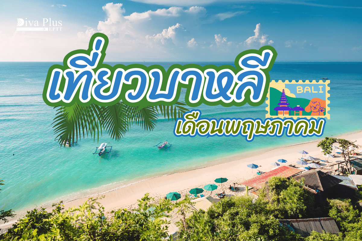 เที่ยวบาหลี เดือนพฤษภาคม ทะเลสวยสีใส นั่งเรือชมโลมา