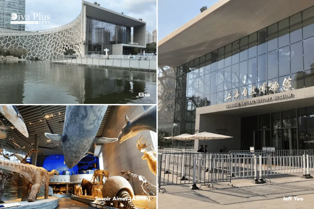 เยี่ยมชมพิพิธภัณฑ์ธรรมชาติเซี่ยงไฮ้ (Shanghai Natural History Museum)