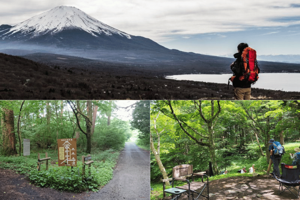 ปีนภูเขาไฟฟูจิ (Mt. Fuji Climbing)