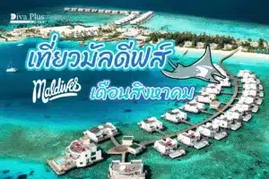 เที่ยวมัลดีฟส์ เดือนสิงหาคม