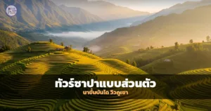 นาขั้นบันไดซาปา เวียดนาม วิวภูเขาสีเขียวสลับทอง